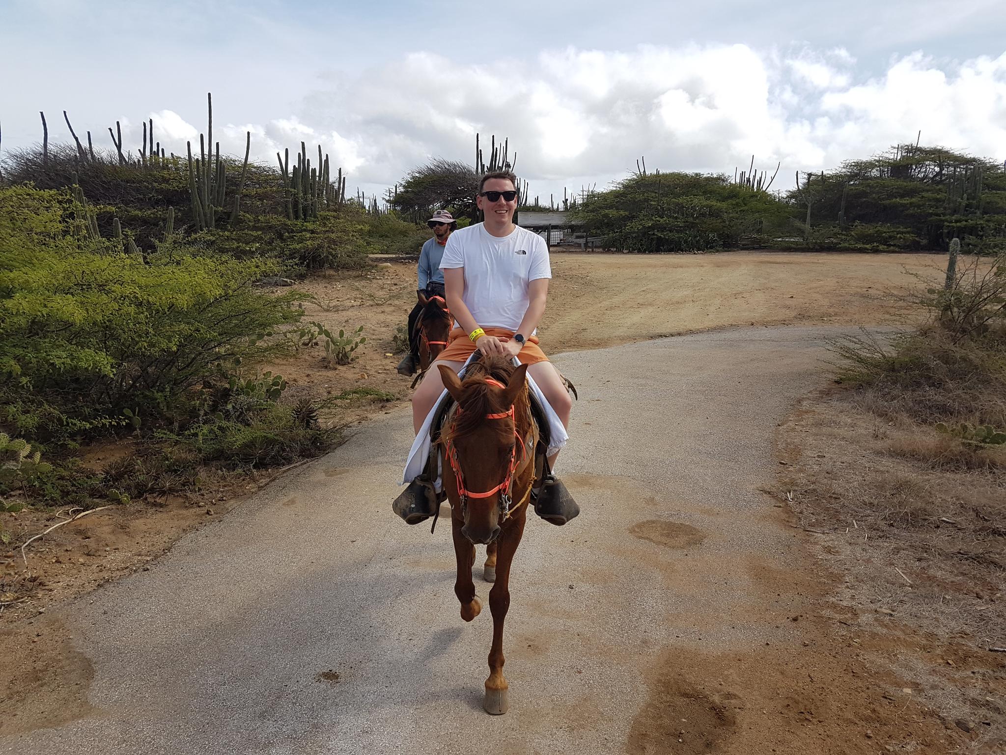 Horse